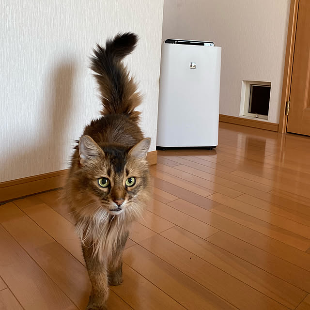 yuri.sさんの実例写真