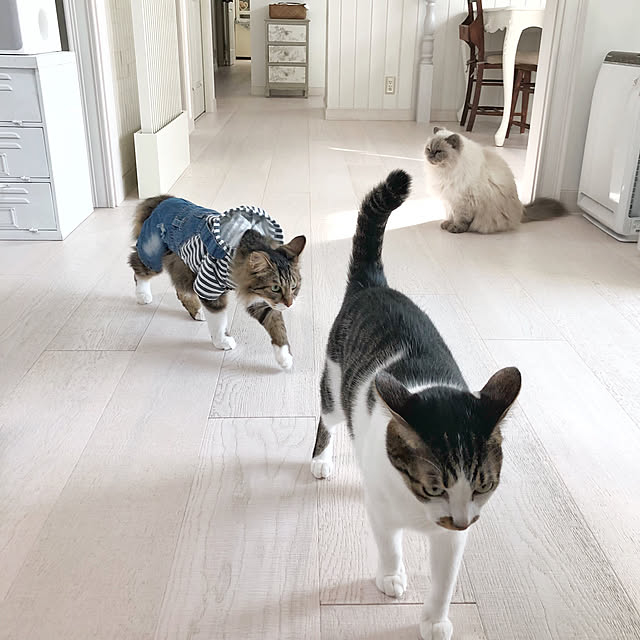 yuchiさんの実例写真