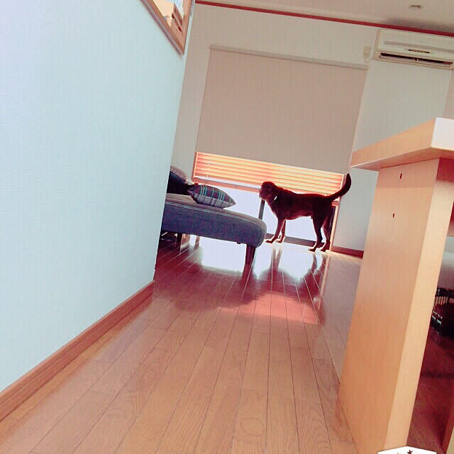 kyasa.さんの実例写真