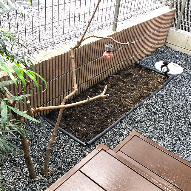 Rororiさんの部屋