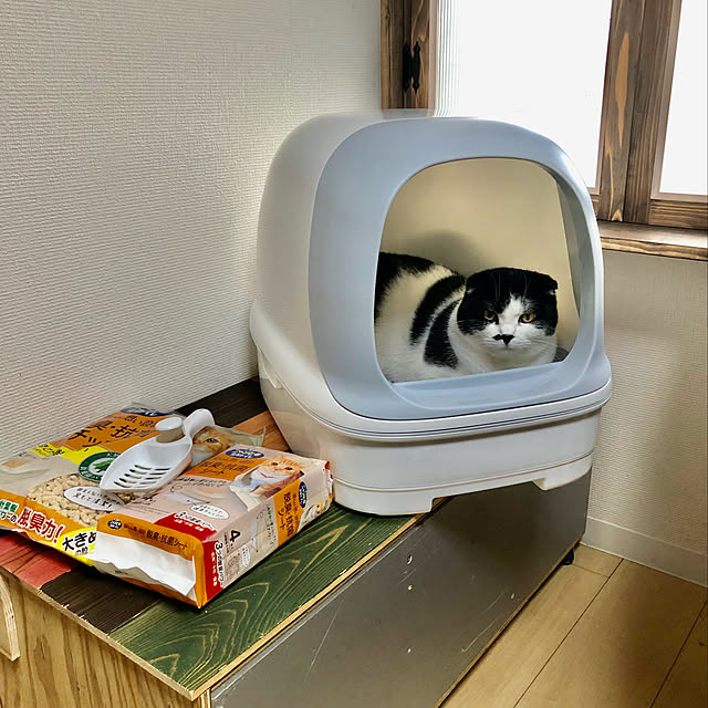 wacchiさんの実例写真