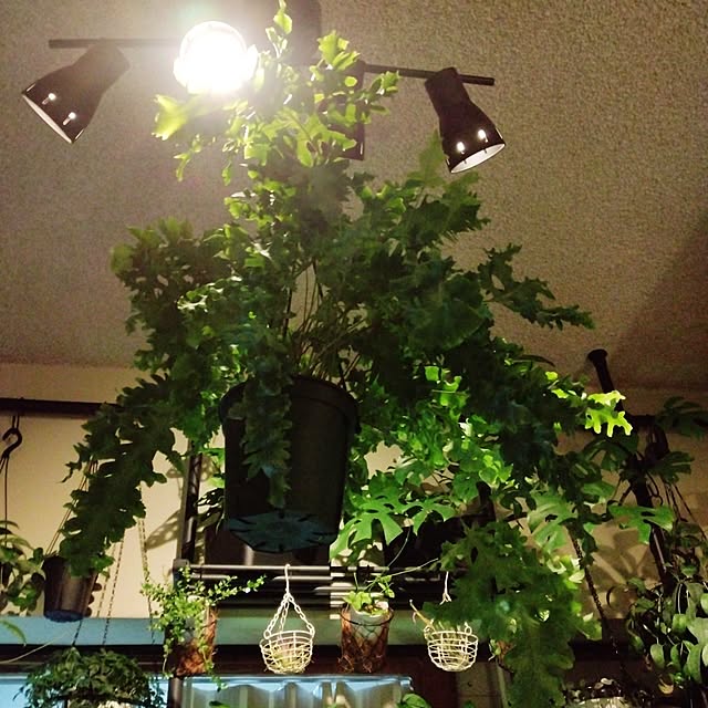 runaさんの実例写真