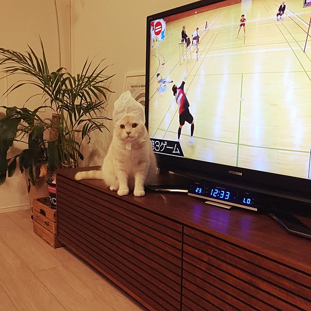 y.k.0123さんの実例写真