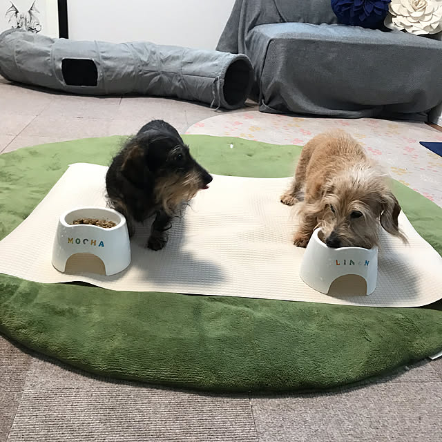 chocococoaさんの実例写真