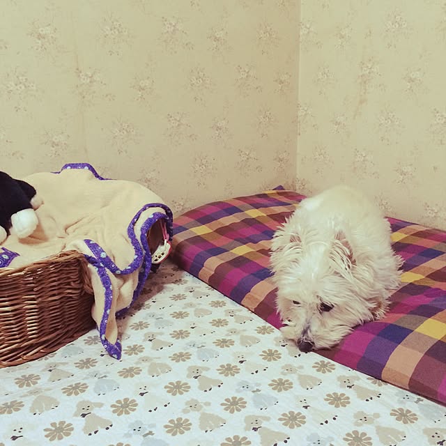 Minaさんの実例写真