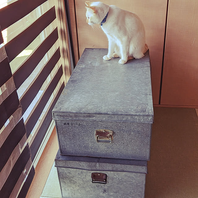 jacky-m-さんの実例写真