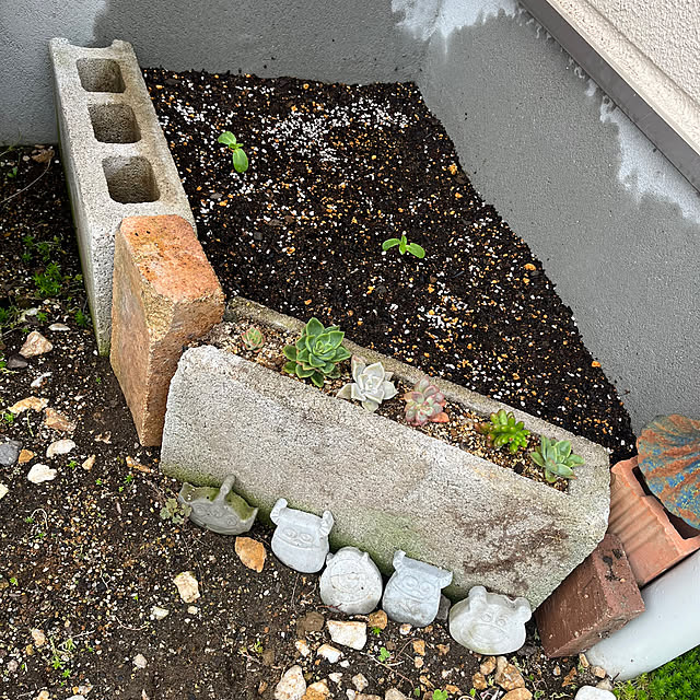 pekoさんの部屋