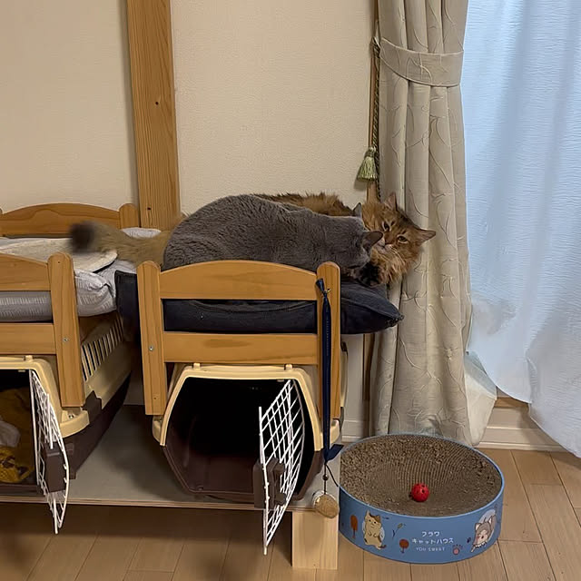 meさんの実例写真