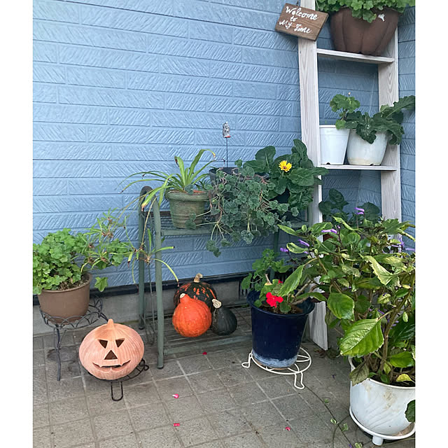 CoCo0617さんの部屋