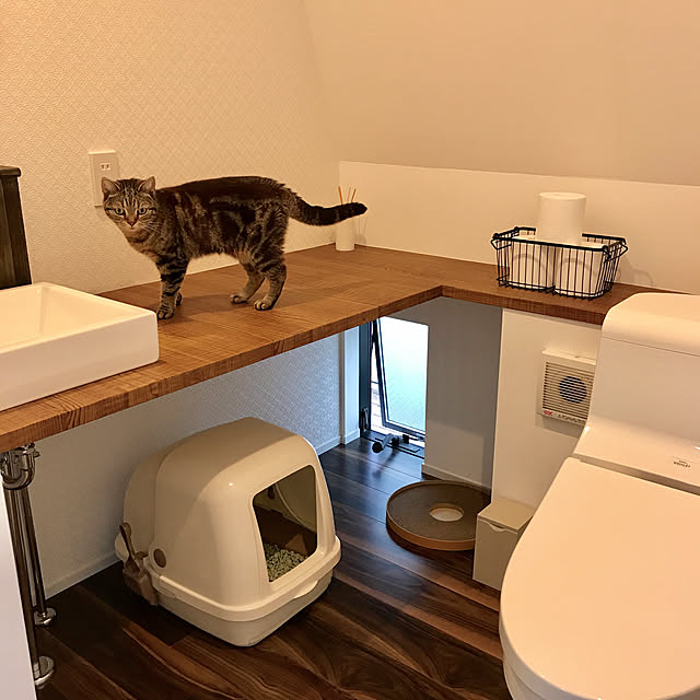 kaedeさんの実例写真