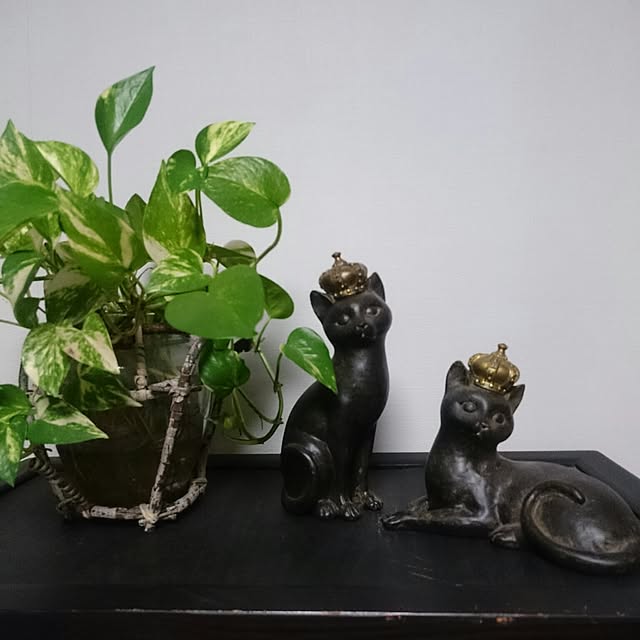 feeさんの実例写真