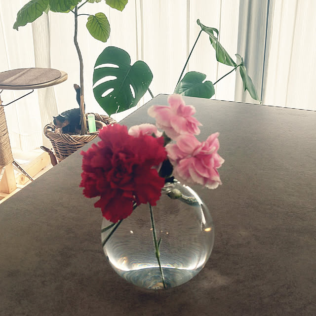 miumiuさんの実例写真