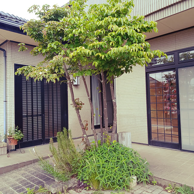 hirococoさんの実例写真