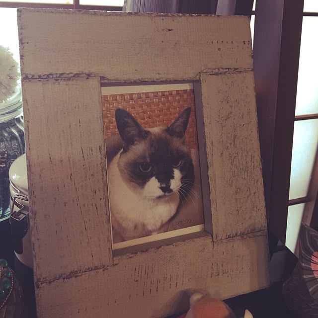 tommyさんの実例写真