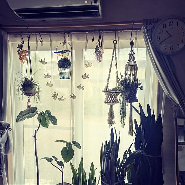 sora3さんの部屋