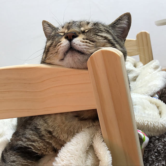 ringoandyuzuさんの実例写真