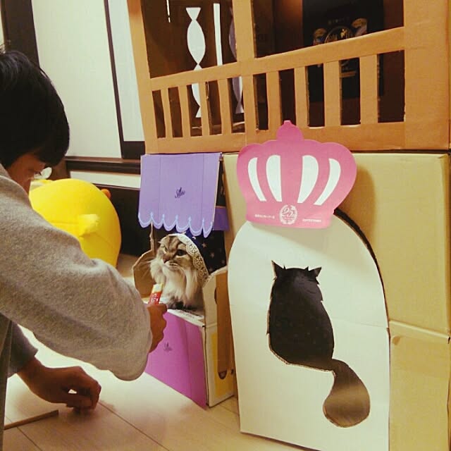 tokoさんの実例写真