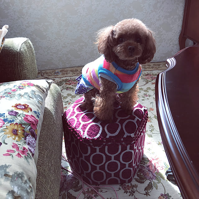 Tiaraさんの実例写真