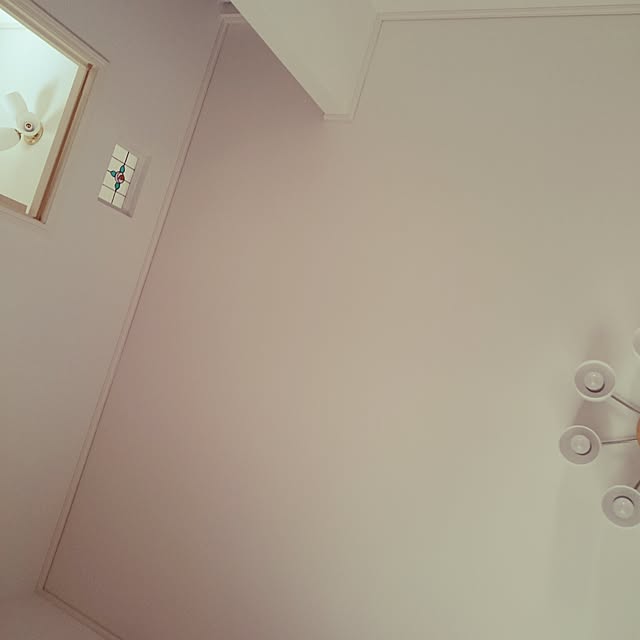 Tamaさんの実例写真