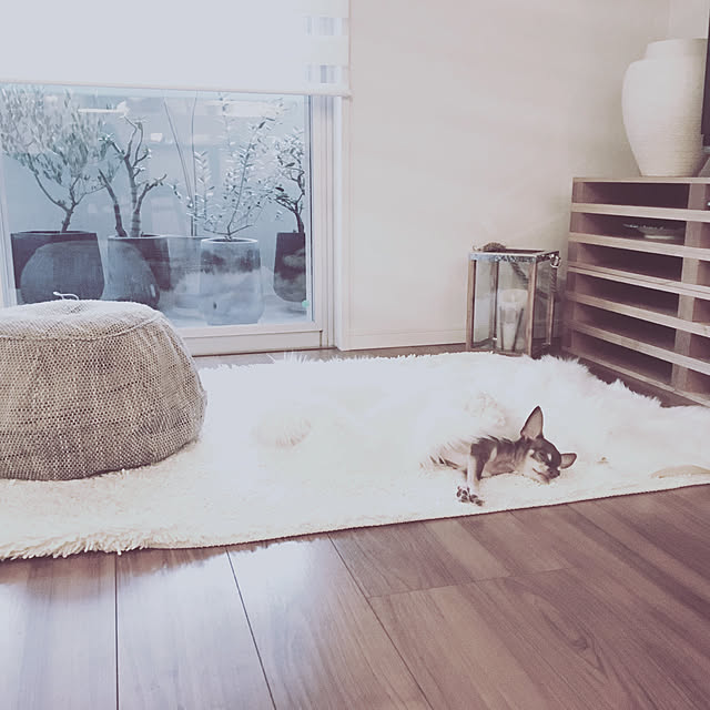 happy.さんの実例写真