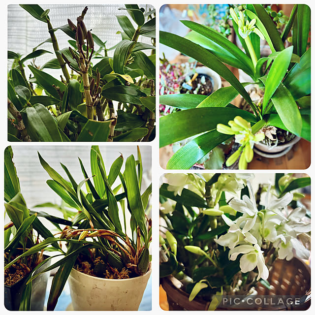 CoCo0617さんの部屋