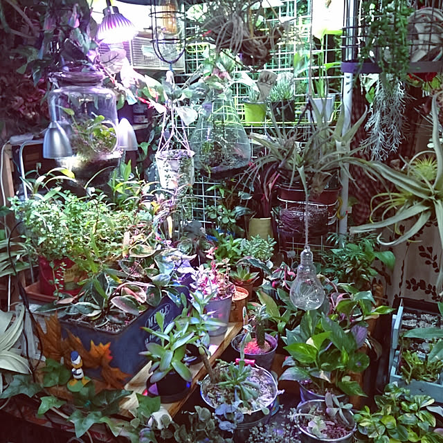hiro4649さんの実例写真