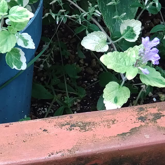 Bienvenueさんの実例写真
