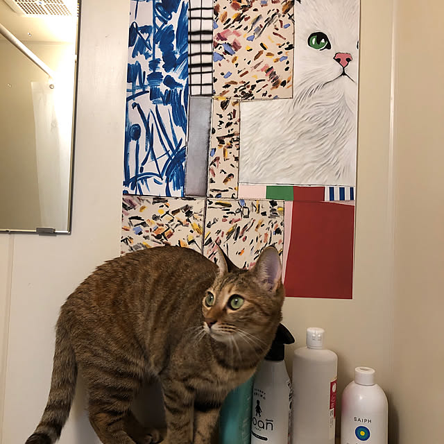 mameさんの実例写真