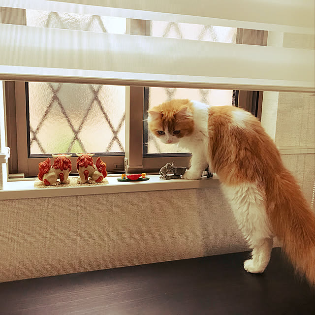 H.Tさんの実例写真