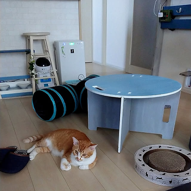 taka-kiさんの実例写真