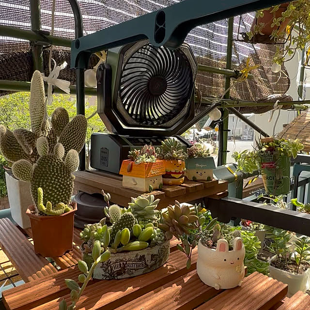 Aqettyさんの部屋