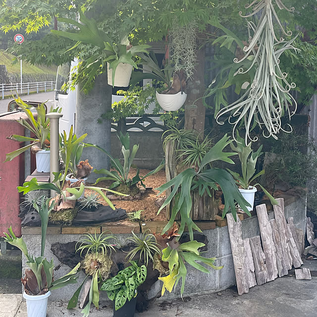 Reikoさんの実例写真