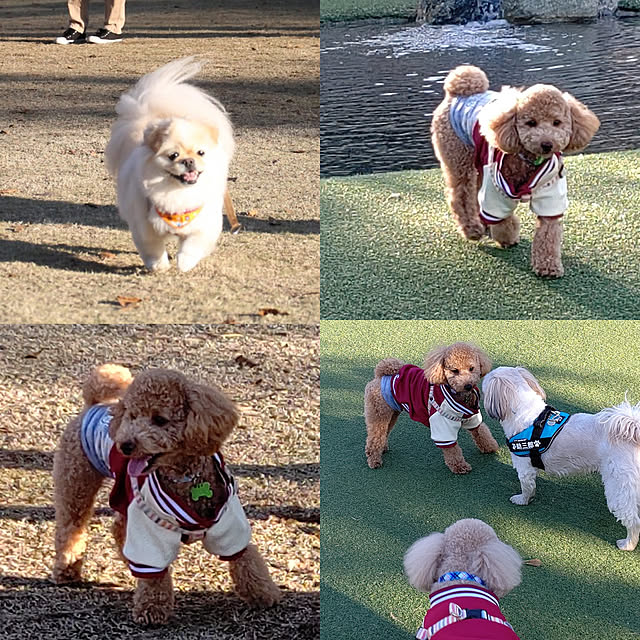 yumirinさんの実例写真