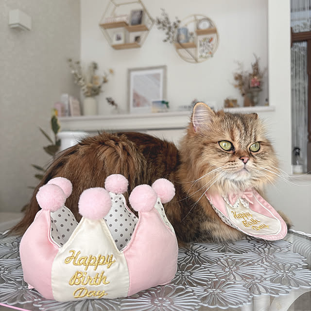 miyu39さんの部屋