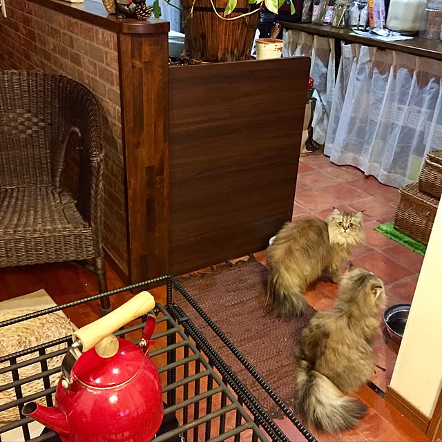 butachanさんの実例写真