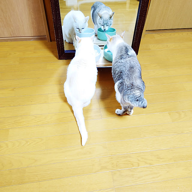 nachiさんの実例写真