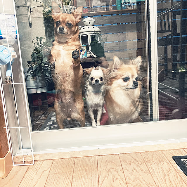 mimamaさんの実例写真