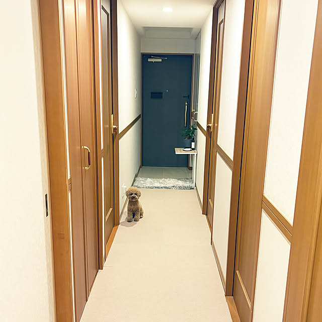 kawauso15さんの部屋