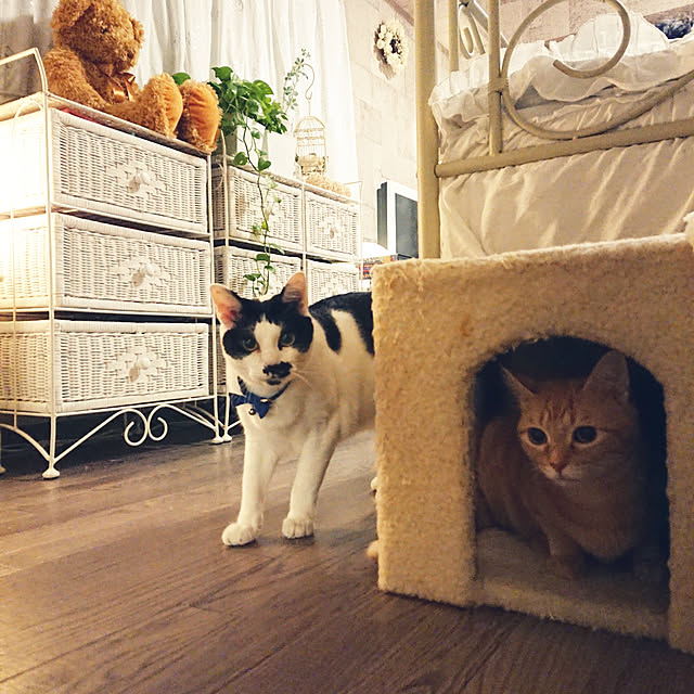 asuminさんの実例写真
