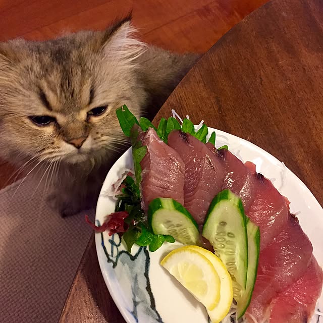 butachanさんの実例写真