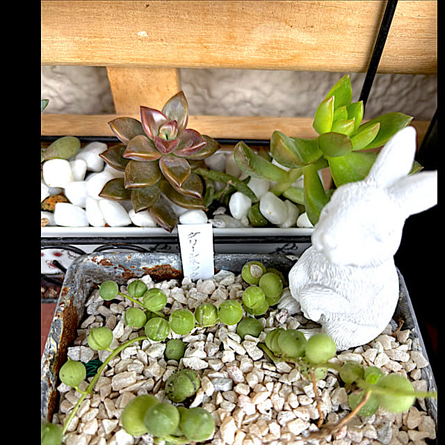 syutmmさんの部屋