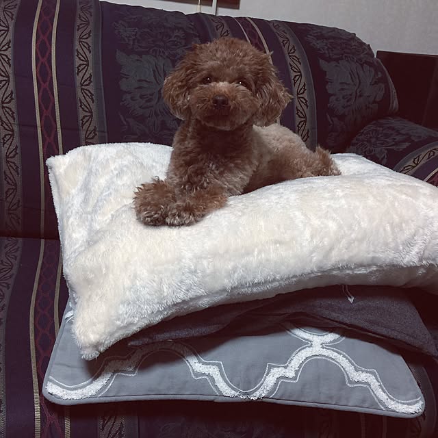 momonaさんの実例写真