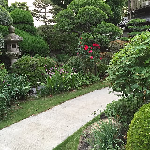 m.kantoh18_mikkoさんの実例写真