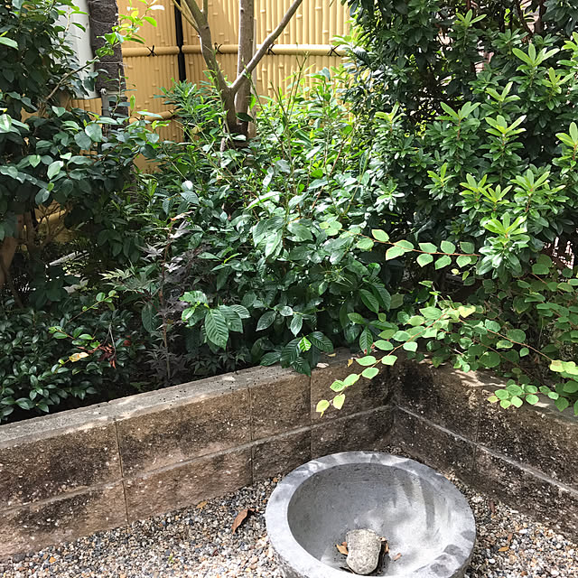 flowerさんの実例写真