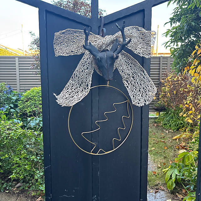 momoさんの実例写真