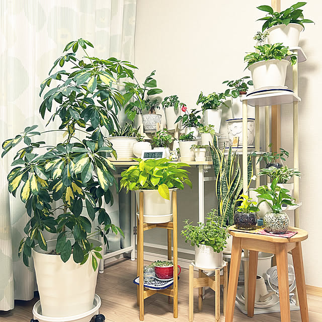 yoyoyoさんの部屋