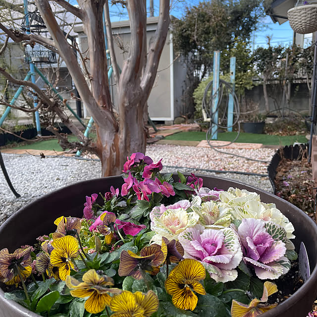 ronronさんの部屋