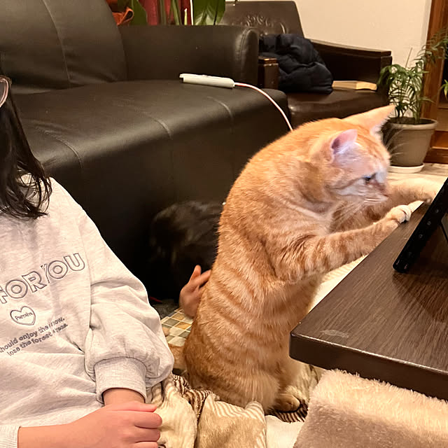 tomorinさんの部屋