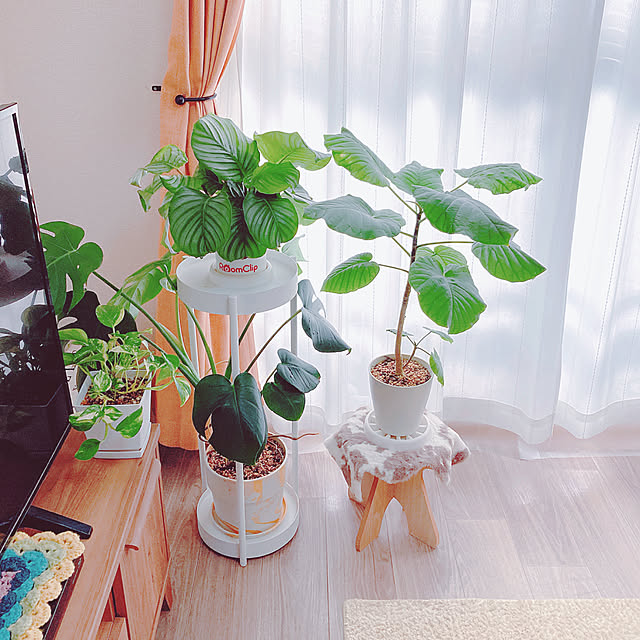 yuyuさんの部屋
