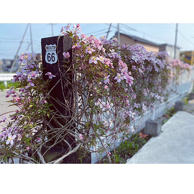 usagiさんの実例写真